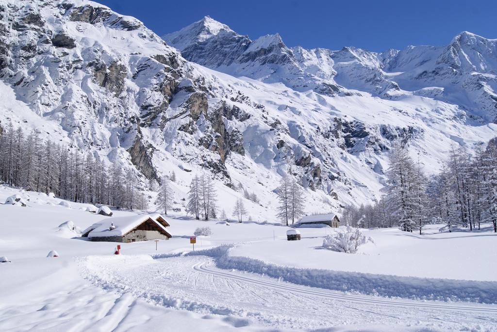 26 Praz De L'ours Vallandry - Paradiski